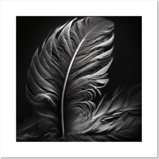 Feather Posters and Art